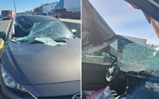 401上車輪脫落 砸碎另一車擋風玻璃 司機受指控