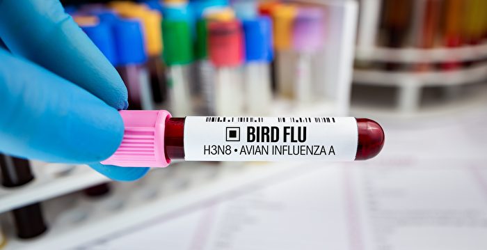 Human-to-Human Transmissible H3N8 Avian Influenza Virus Sparks Global Concern