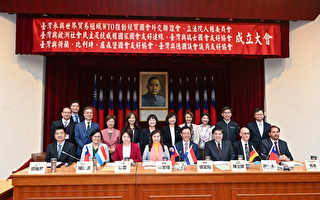 成立多国友好协会 台立委：为台湾国际空间努力