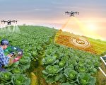 農業走向高科技 無人機和機器人或取代田間工人