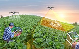 农业走向高科技 无人机和机器人或取代田间工人