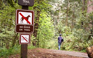 郊狼產子季節 部分步道禁止狗進入