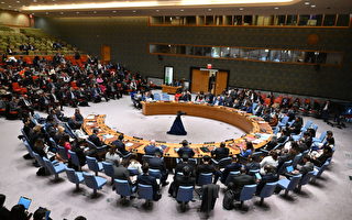 美国弃权 联合国安理会通过加沙停火决议