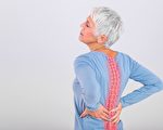 腰痛勿轻率手术 中医疗法可缓解腰痛