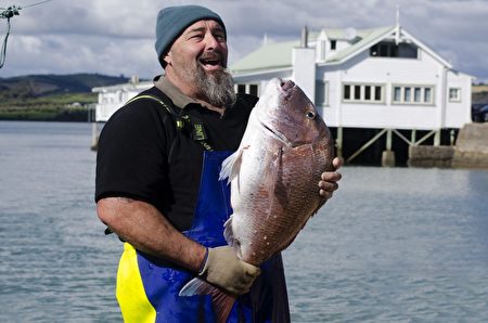 新西蘭政府放寬了部分商業漁業的捕撈限額