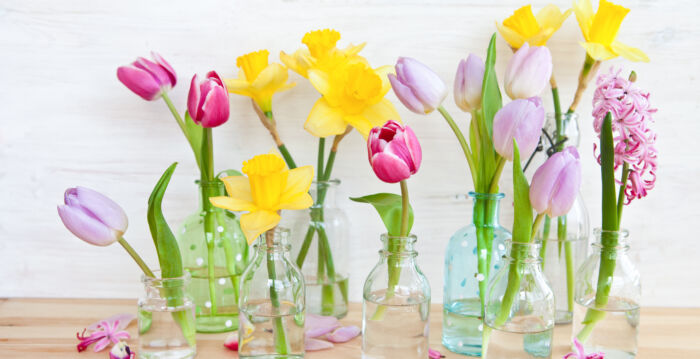 如何让剪下来的花朵延长保存时间？