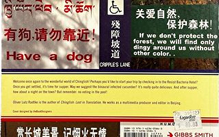 辱英/华文化之Chinglish？