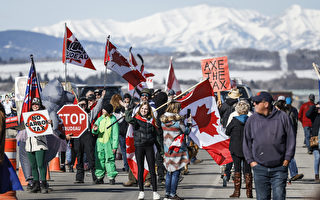 加拿大民众在国会山等地聚集 抗议碳税