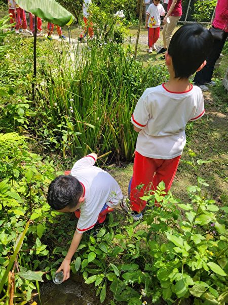 光興里螢火蟲園區讓小朋友親自體驗園區內的自然生態。
