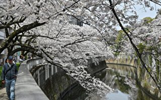 地球四季出現「失律」 正在轉變成六季?