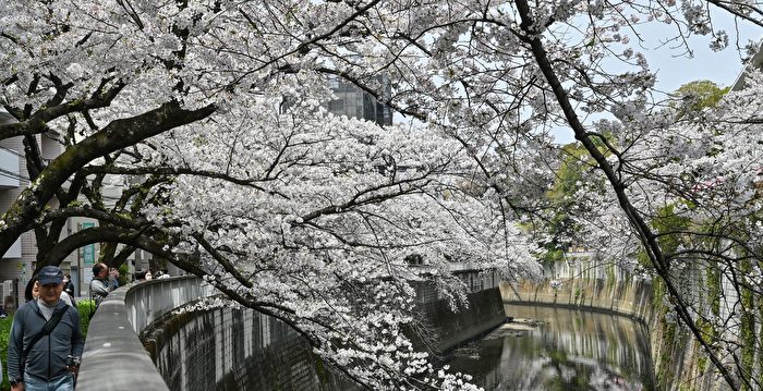 地球四季出现“失律” 正在转变成六季？