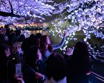 組圖：東京櫻花終於盛開 賞櫻勝地人潮如織