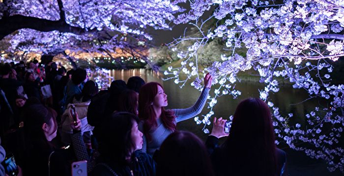 组图：东京樱花终于盛开 赏樱胜地人潮如织