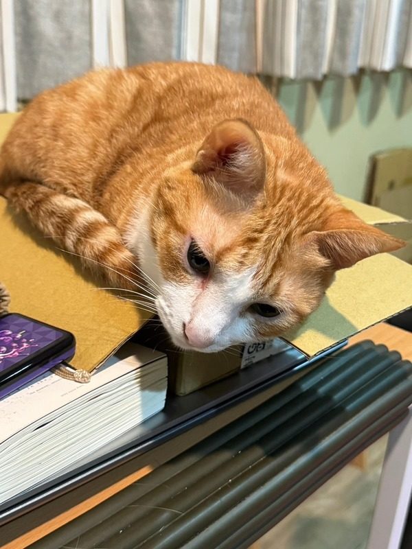 id14222370-20240410PHO0018l-