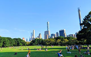 中央公园大草坪重新开放 全球公民节回归