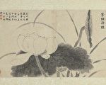 《芳塘净植》──看文徵明描出白莲的大器之美