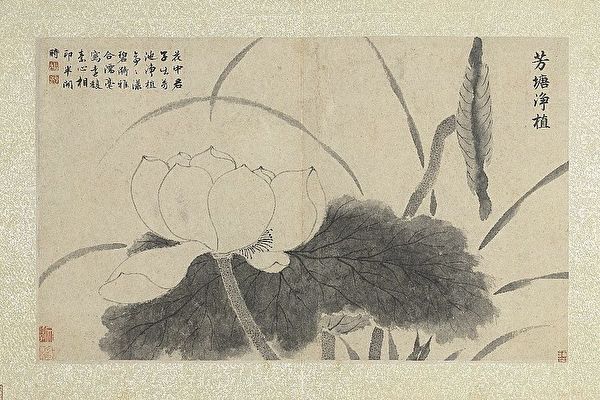 《芳塘净植》──看文徵明描出白莲的大器之美