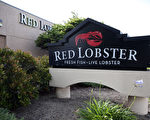 北美知名海鮮餐廳紅龍蝦正式申請破產保護