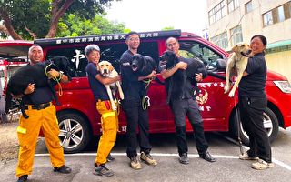 增加救援能量 中市5隻搜救犬通過IRO國際評測