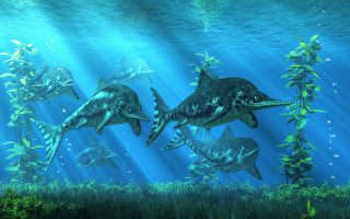重大突破 英国出土25米长远古巨型鱼龙化石