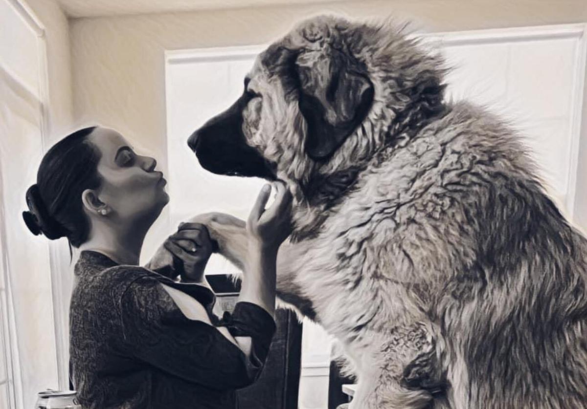 200磅重稀有高加索犬以为自己是只哈巴狗| 体型| 巨型| 护卫| 大纪元, image size:1200x837