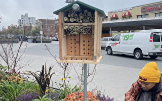 “蜜蜂旅馆”将进驻纽约市公共广场 保护濒危授粉昆虫