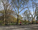 紐約市中央公園暴力搶劫案又增 27小時內三起