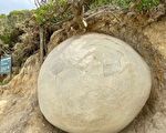 新西蘭海岸的神祕球形巨石吸引眾多遊客