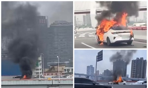 上海南浦大桥一新能源车起火 车被烧成空壳