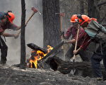 安省將增加野地消防員醫療保險