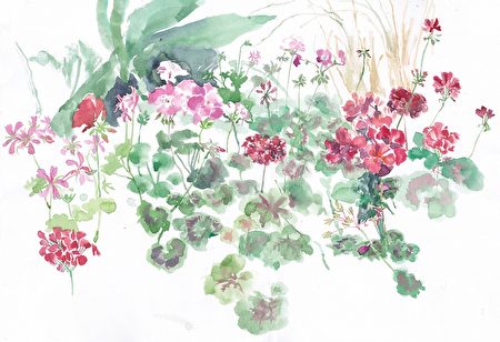 萧喆旻5‧18王后区植物园办工作坊：植物画构图安排