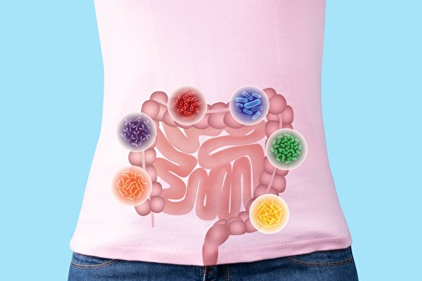 腸道菌主宰身心健康 解密腸道與腸道菌共生奧秘