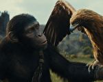 导演谈《猩球崛起4》的水特效比《阿凡达2》复杂
