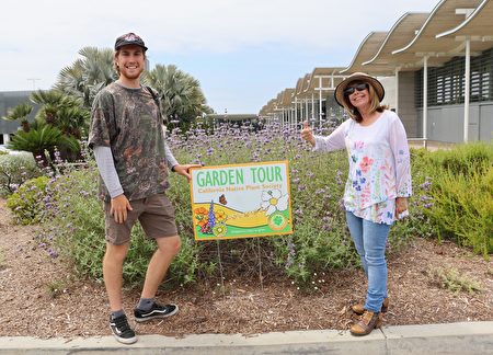 加州橙县私人花园之旅：养护本土植物（组图）