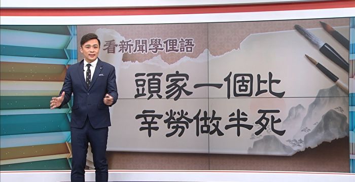 台主播界他“腿最长”获关注 擅长台语播报