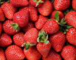 如何延长草莓的存放时间？ 专家教你几招