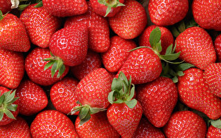 如何延長草莓的存放時間？ 專家教你幾招