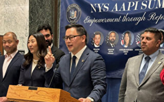 AAPI峰会 纽约州众议员金兑锡关注亚裔医疗权益