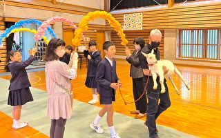 日本一所小學沒新生 招一隻山羊入學