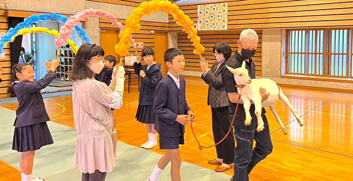 日本一所小学没新生 招一只山羊入学