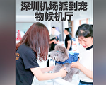 深圳機場啟用寵物候機廳 引熱議