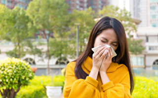 春季花粉瀰漫 紐約市過敏症急增