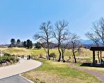 日本香川赞岐满浓公园百花争艳