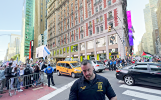 纽约七成民意支持挺巴和平示威 也支持警察驱散过激活动
