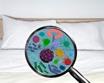 殺菌除蟎 床單該怎麼洗？生物學家教你4技巧