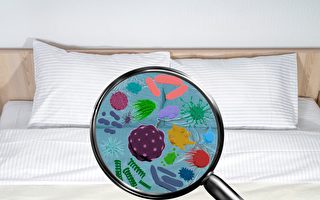 杀菌除螨 床单该怎么洗？生物学家教你4技巧