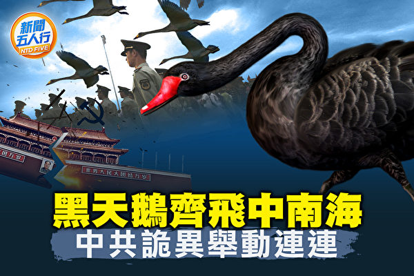 【新聞五人行】黑天鵝齊飛 中共詭異舉動連連