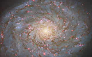 哈勃望遠鏡拍到一個寶石般璀璨的螺旋星系