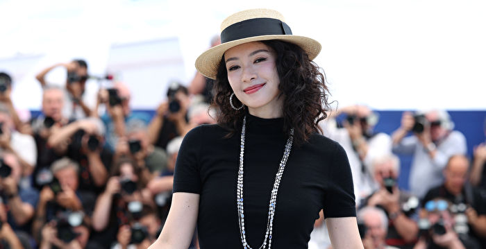 Zhang Ziyi Walks the Red Carpet at Cannes Film Festival: Speculation Over Domestic Violence and PUA Relations