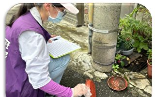 登革热流行 桃园吁清除积水容器落实巡倒清刷